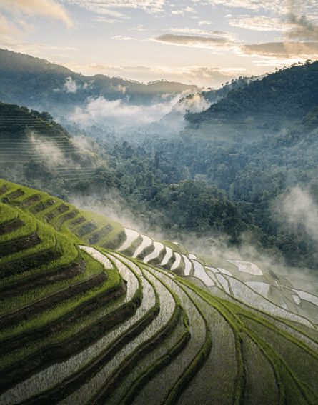 Golden Hour Sunrise Over Balinese Terraced Valley