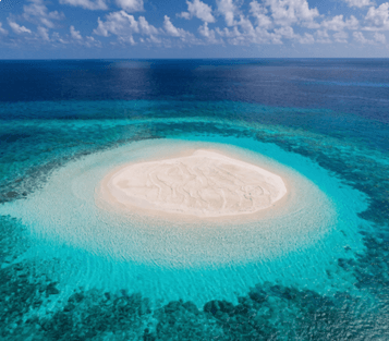 Secluded Sandbank Paradise in Open Ocean